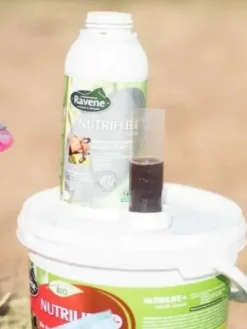 Online Complément articulation Nutriflex - Laboratoire Membres·Articulations