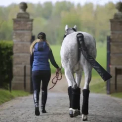 Outlet Cotons américains (Set de 4) - Kentucky Bandages|Sous Bandes Et Cotons