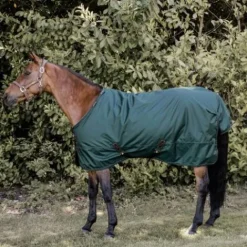 Online Couverture All Weather imperméable pro 160gr - Kentucky Couvertures Cheval