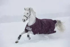 Best Couverture Hero Ripstop 50g - Horseware - extérieur imperméable Couvertures Cheval