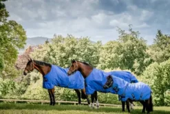 Best Couverture Hero Ripstop 50g - Horseware - extérieur imperméable Couvertures Cheval