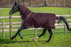 Hot Couverture Hero ripstop plus 200g - Horseware - imperméable Couvertures Cheval