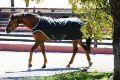 Best Couverture Walker - Horseware - Imperméable, 200g Couvertures Cheval