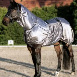 Best Couverture anti-eczéma Sécurity Chemises Anti-Eczéma|Chemises Cheval