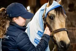 Outlet Couverture anti-insectes Amigo Pony Ripstop Hoody - - Tissu Ripstop 60 Chemises Anti-Mouches|Chemises Cheval