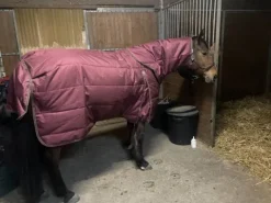 Discount Couverture écurie 350g avec couvre cou Couvertures Cheval