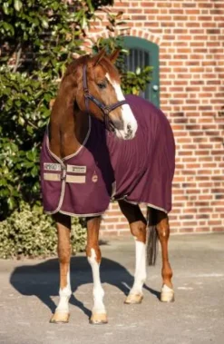 New Couverture d'écurie Stable Sheet - Horseware - Ultra légère Couvertures Cheval