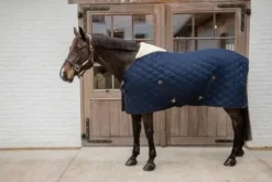 Discount Couverture d'écurie Comfort 300g - Kentucky Couvertures Cheval
