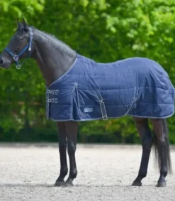New Couverture d'écurie Economic 300G - Couvertures Cheval