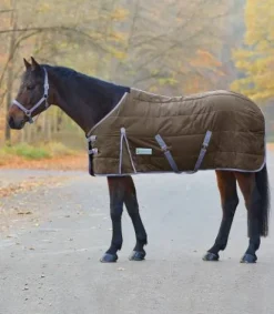 Hot Couverture d'écurie Economic 300G - Couvertures Cheval