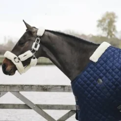 Clearance Couverture d'écurie 400gr - Kentucky Couvertures Cheval