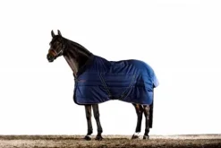 Online Couverture d'écurie cosy stable 100g - Horseware Couvertures Cheval