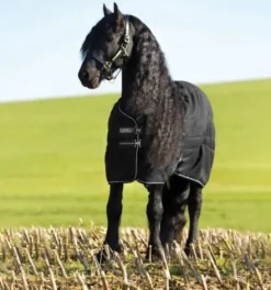 Discount Couverture d'écurie 200g - HORSEWARE Couvertures Cheval