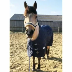 Couverture de box 850 deniers et 200gr Bleu - Couvertures Cheval