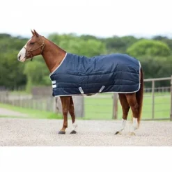 Clearance Couverture de box Amigo Insulator - Couvertures Cheval