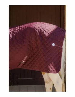 Best Couverture de box Romance 200g Couvertures Cheval