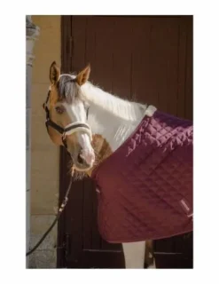 Best Couverture de box Romance 200g Couvertures Cheval