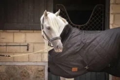 Hot Couverture de boxe matelassée 200 Gr Couvertures Cheval