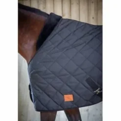 Hot Couverture de boxe matelassée 200 Gr Couvertures Cheval
