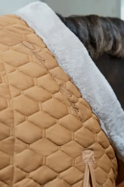 Online Couverture de boxe Zeta 150 Platinum 2023 - Couvertures Cheval