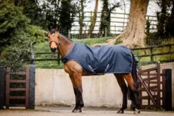 Online Couverture de marcheur Walker - Horseware - 100g Couvertures Cheval