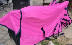 Couverture de paddock Rose Couvertures Cheval