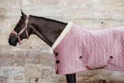 Couverture de présentation Velvet 160g Kentucky - Vieux Couvertures Cheval