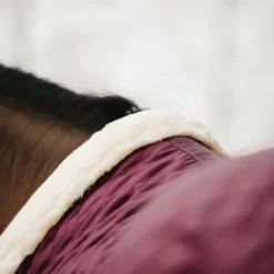 Hot Couverture de présentation 160 g - Kentucky Couvertures Cheval