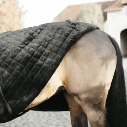 Hot Couverture de présentation 160 g - Kentucky Couvertures Cheval