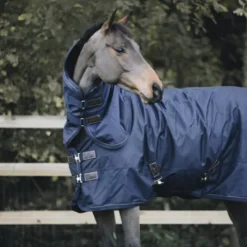 Sale Couverture d'extérieur All Weather imperméable pro 0g - Kentucky Couvertures Cheval