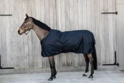 Hot Couverture d'extérieur All Weather imperméable Classic 0g - Kentucky Couvertures Cheval