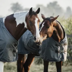 New Couverture d'extérieur All Weather imperméable pro 160g - Kentucky Couvertures Cheval