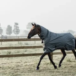 New Couverture d'extérieur All Weather imperméable pro 160g - Kentucky Couvertures Cheval