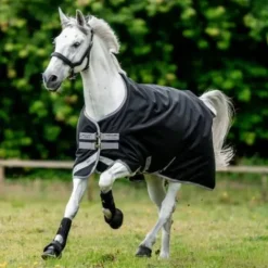 New Couverture d'extérieur Bravo 12 Turnout 100g  - HORSWARE Couvertures Cheval