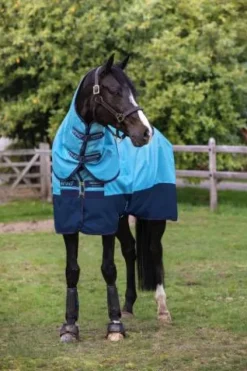 Discount Couverture d'extérieur Amigo Hero ripstop plus 100g - Couvertures Cheval