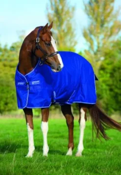 Online Couverture d'extérieur Amigo Hero 6 Medium - - 600d Couvertures Cheval