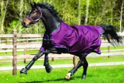 Online Couverture d'extérieur Amigo Hero 6 Medium - - 600d Couvertures Cheval