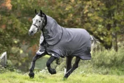 Sale Couverture d'extérieur Bravo 12 Reflectech Plus - Horseware - 100g Couvertures Cheval