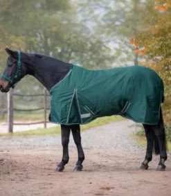 Best Couverture d'extérieur Economic 200gr Couvertures Cheval
