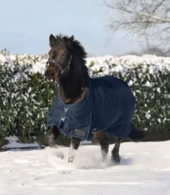 Best Couverture d'extérieur Economic 100G Couvertures Cheval