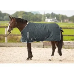 Online Couverture d'extérieur imperméable Thor 300gr - Harry's Horse Couvertures Cheval