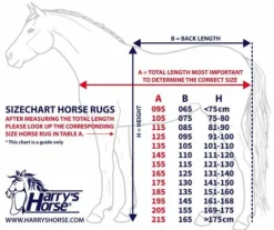 Online Couverture d'extérieur imperméable Thor 300gr - Harry's Horse Couvertures Cheval