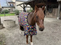 Couverture d’extérieur 300g – Taille 115 Couvertures Cheval