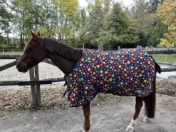 Couverture d’extérieur 300g – Taille 115 Couvertures Cheval