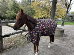 Couverture d’extérieur 300g – Taille 115 Couvertures Cheval