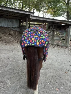 Couverture d’extérieur 300g – Taille 115 Couvertures Cheval