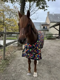Couverture d’extérieur 300g – Taille 115 Couvertures Cheval