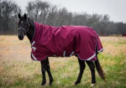 Outlet Couverture d'extérieur Wug Lite 50g Couvertures Cheval