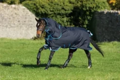 Discount Couverture extérieur Amigo Bravo 12 Plus Couvertures Cheval