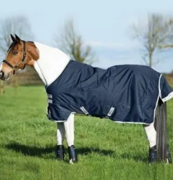 Best Couverture extérieur Bravo 12 Moyen 250g - Horseware - 1200D imperméable Couvertures Cheval